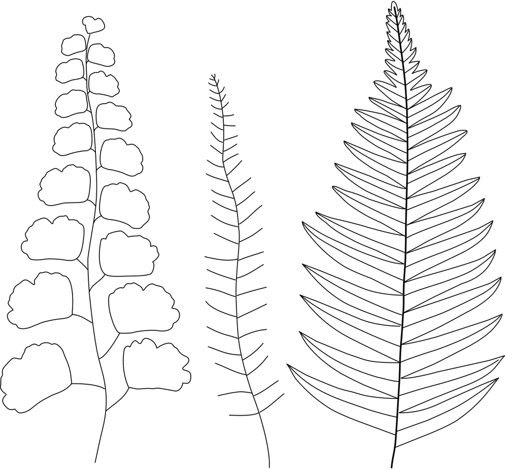 free printable embroidery patterns
