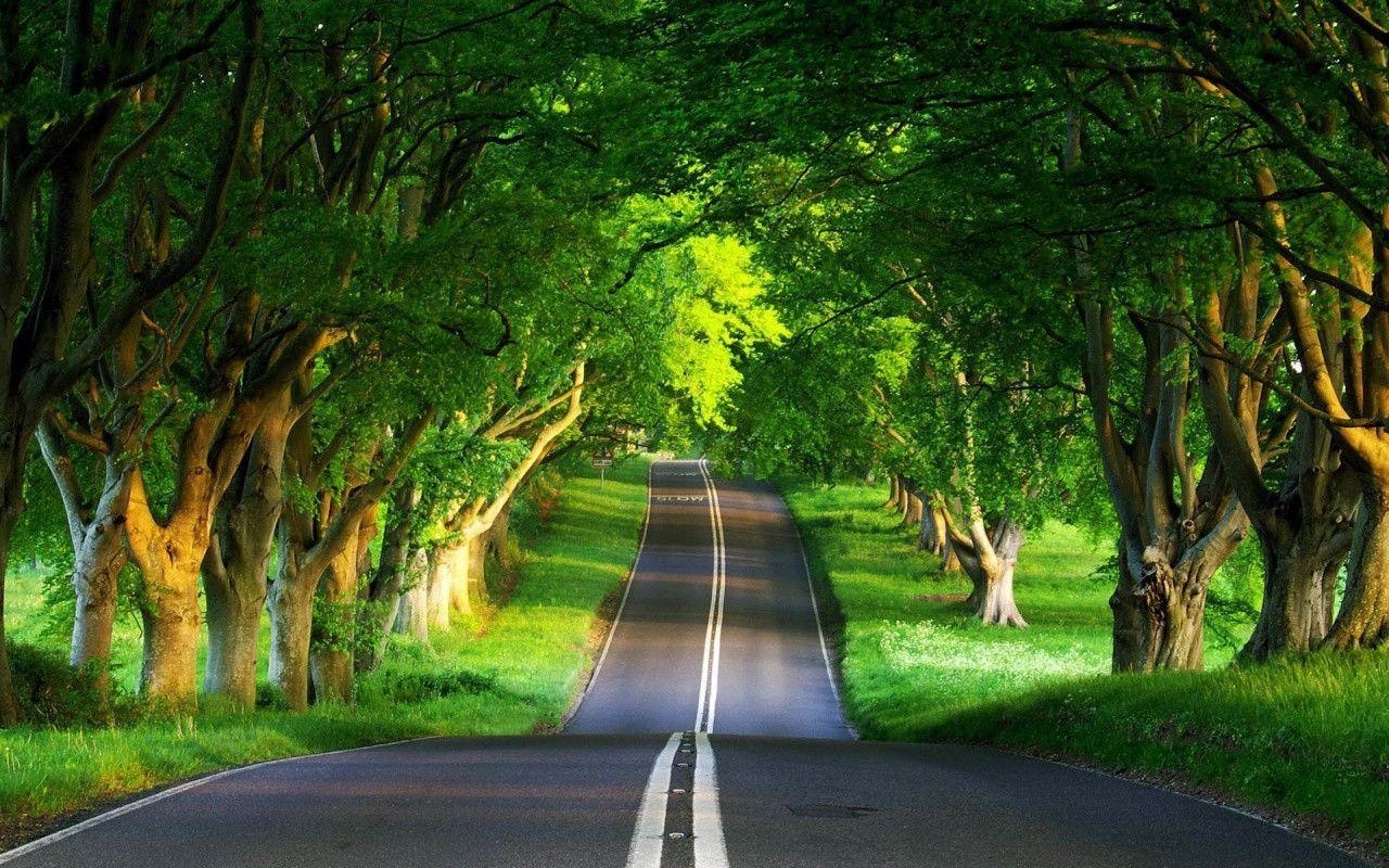 Free HD Wallpapers For PC Wallpaper Cave