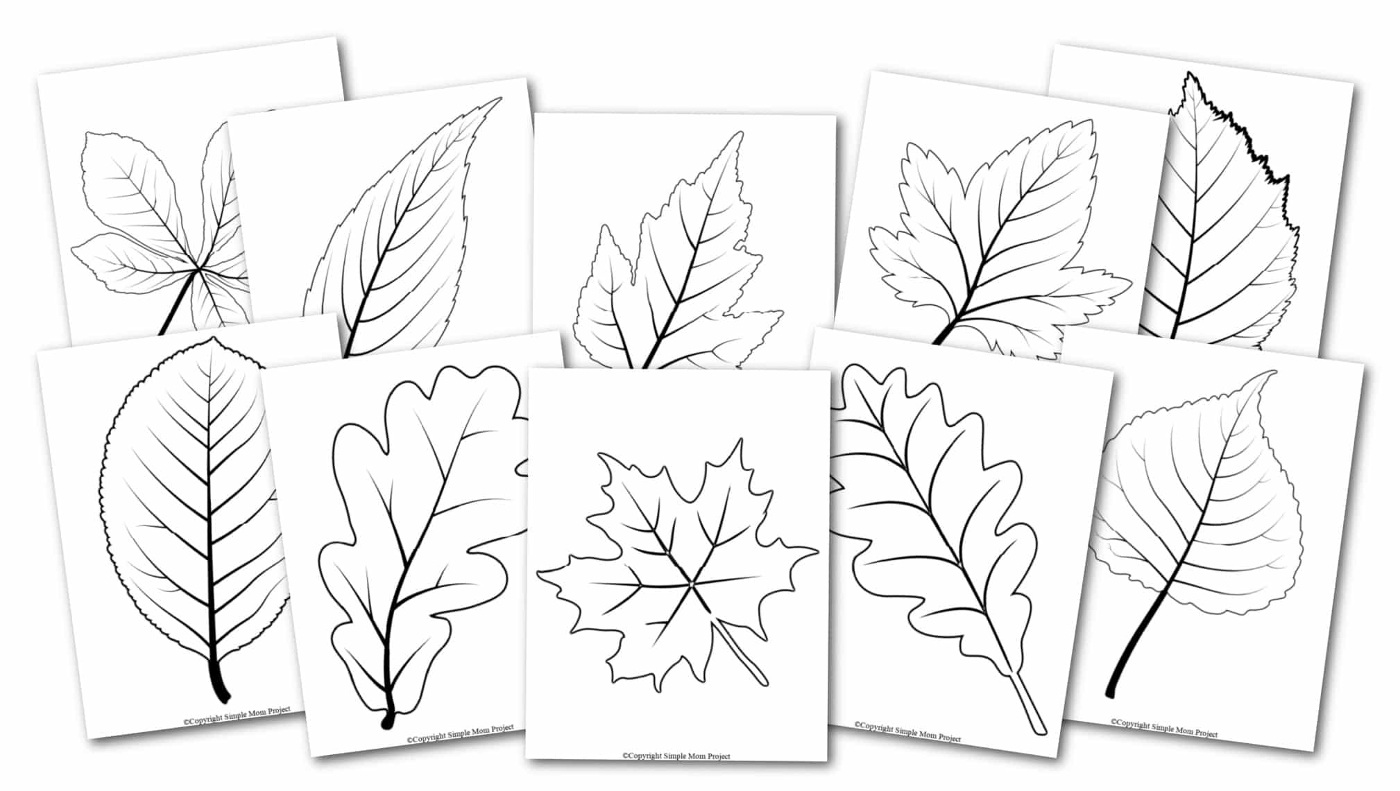 large printable leaf patterns