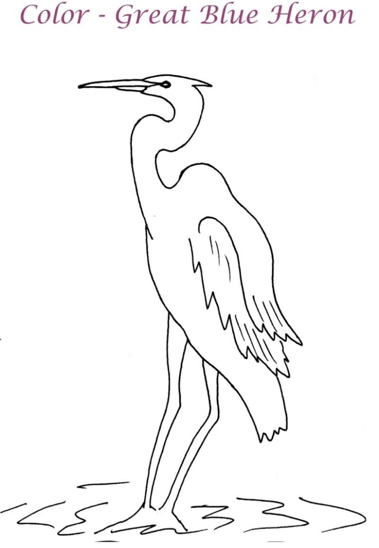 great blue heron coloring page