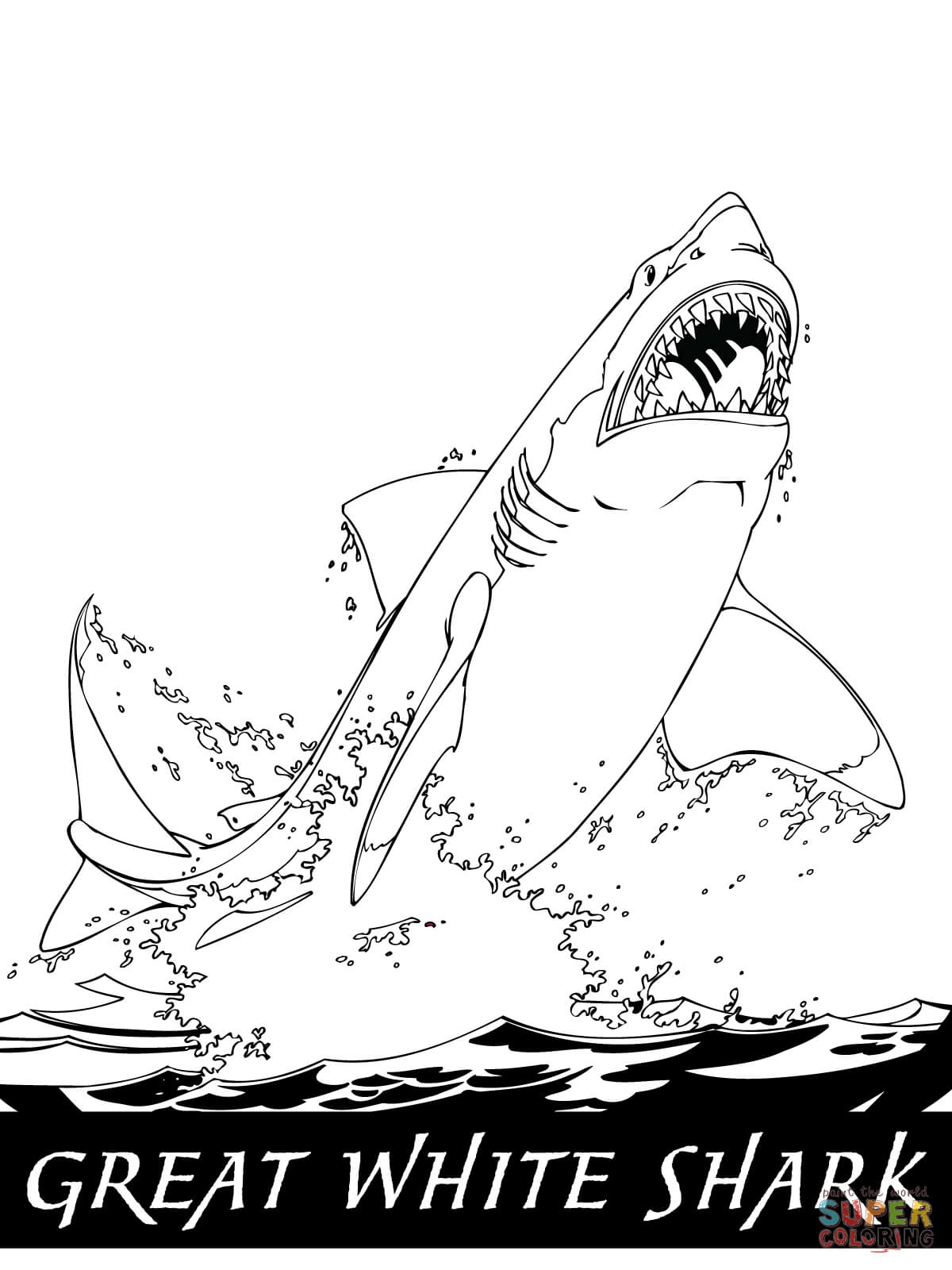great white shark color page