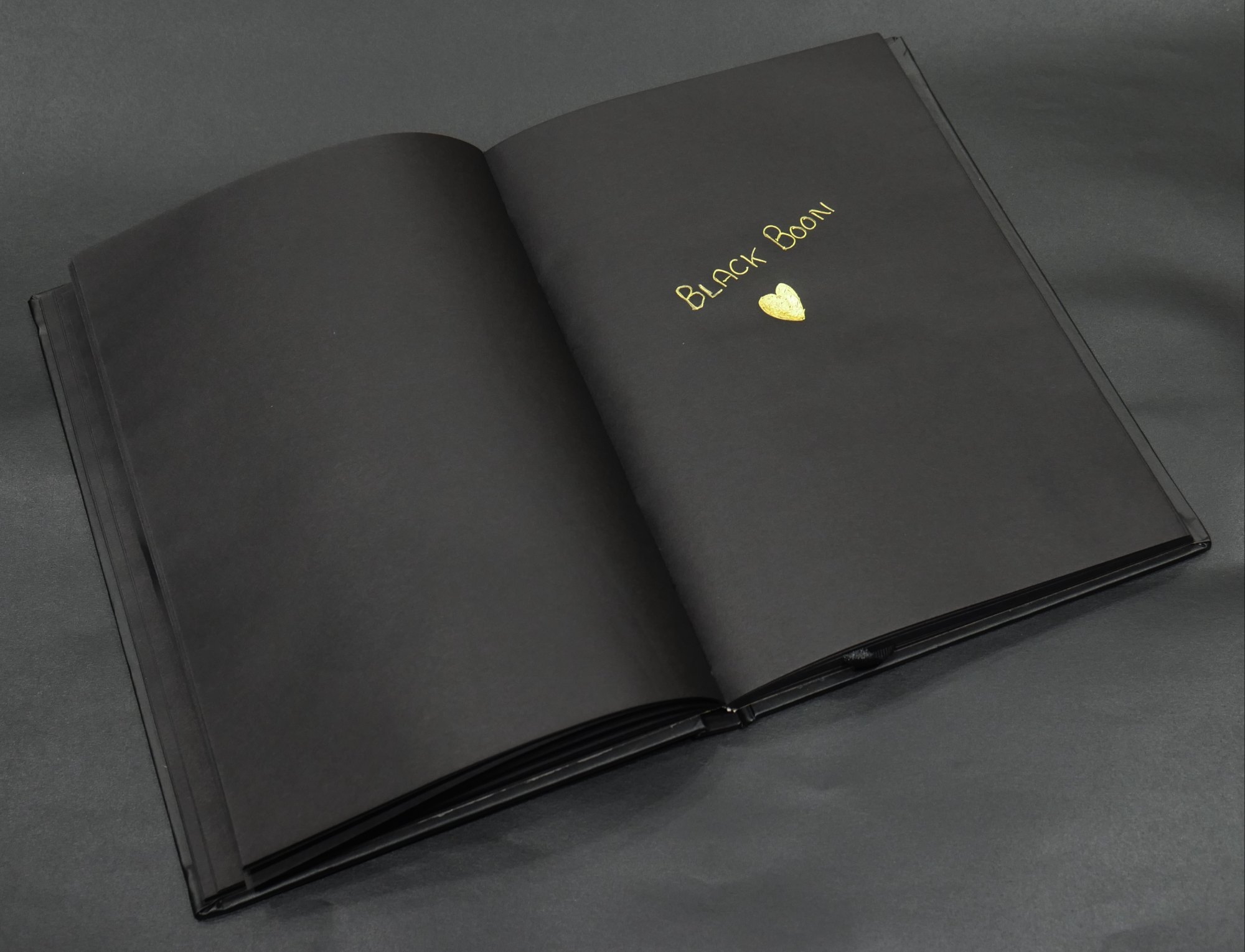 Hard Binding Black Pages Paper Diary For Daily Notes Paper Size A5 At 499 piece In New Delhi
