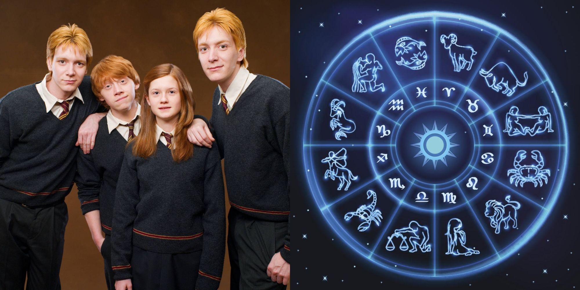 Harry Potter To Which Wizard Family Do You Belong Based On Your Zodiac Sign 