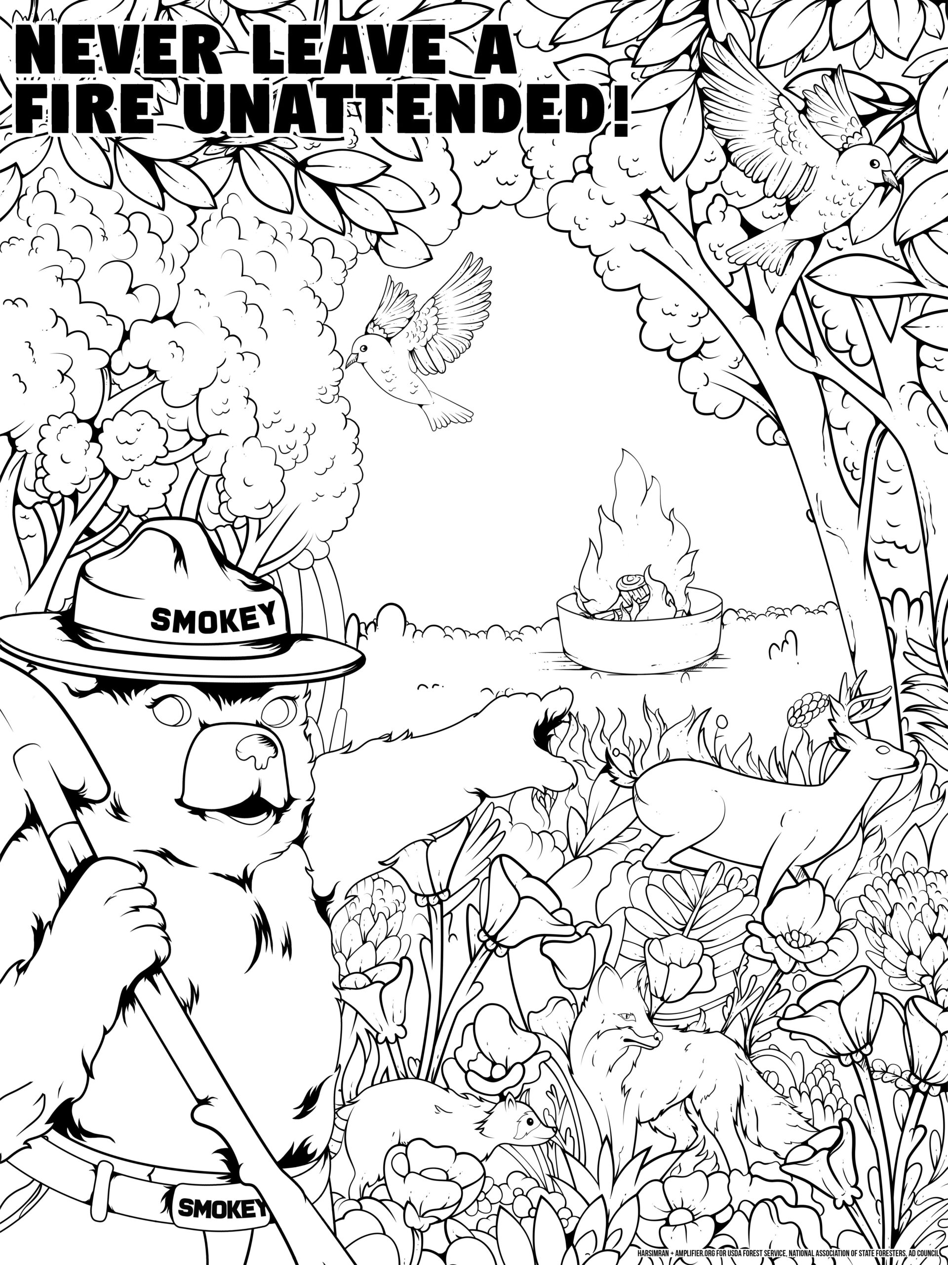 Individual Toolkit Smokey Bear