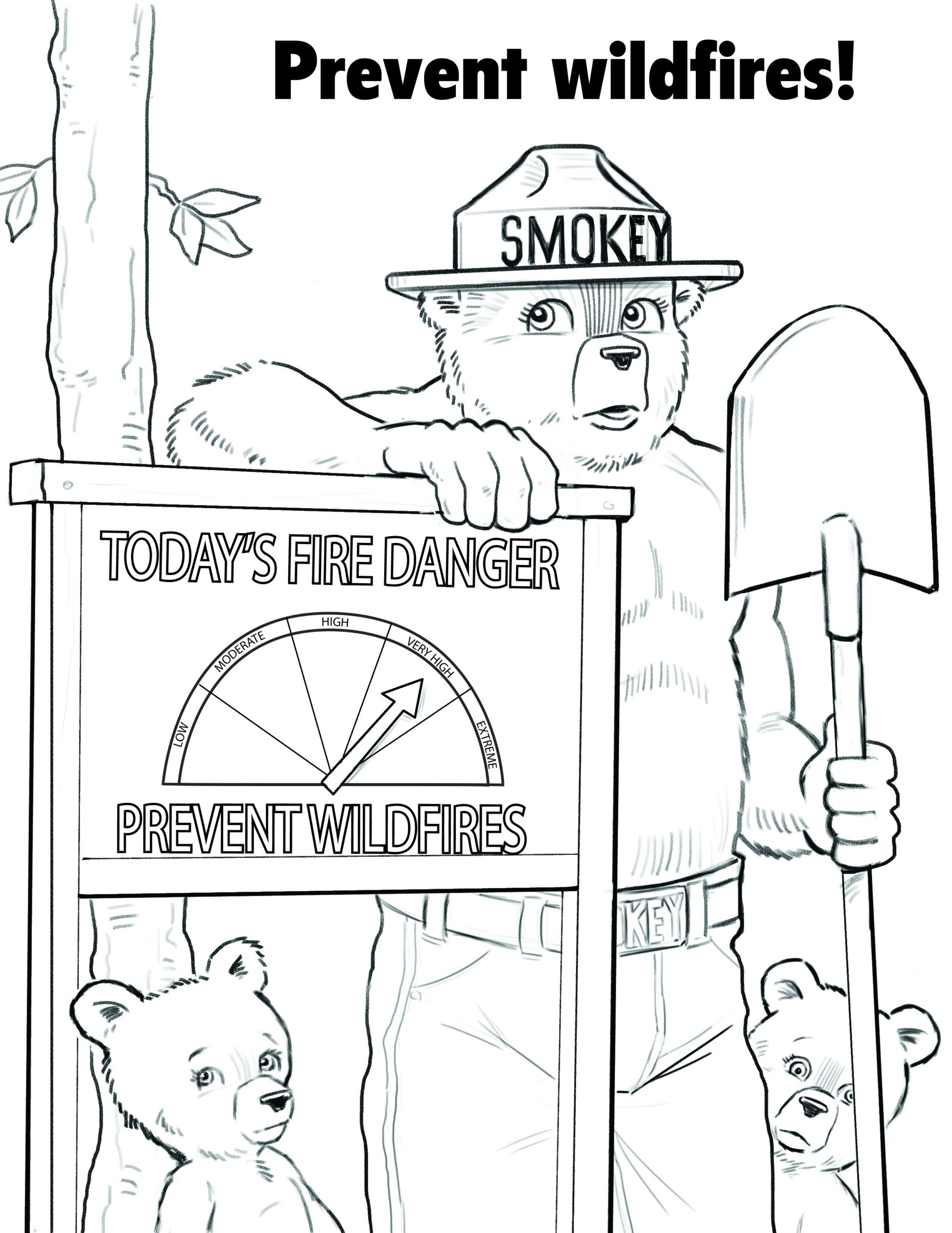 Individual Toolkit Smokey Bear