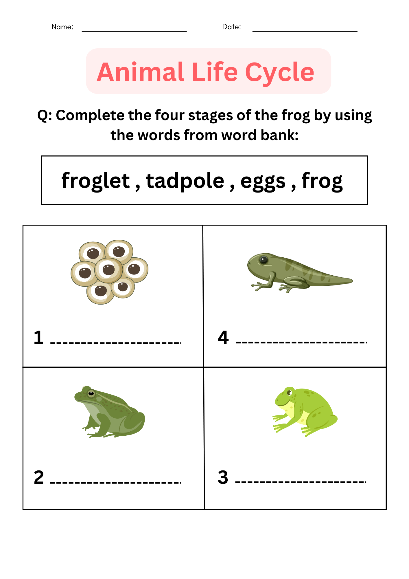 Interactive Worksheet 4th Grade Animal Life Cycle Worksheets Made By Teachers