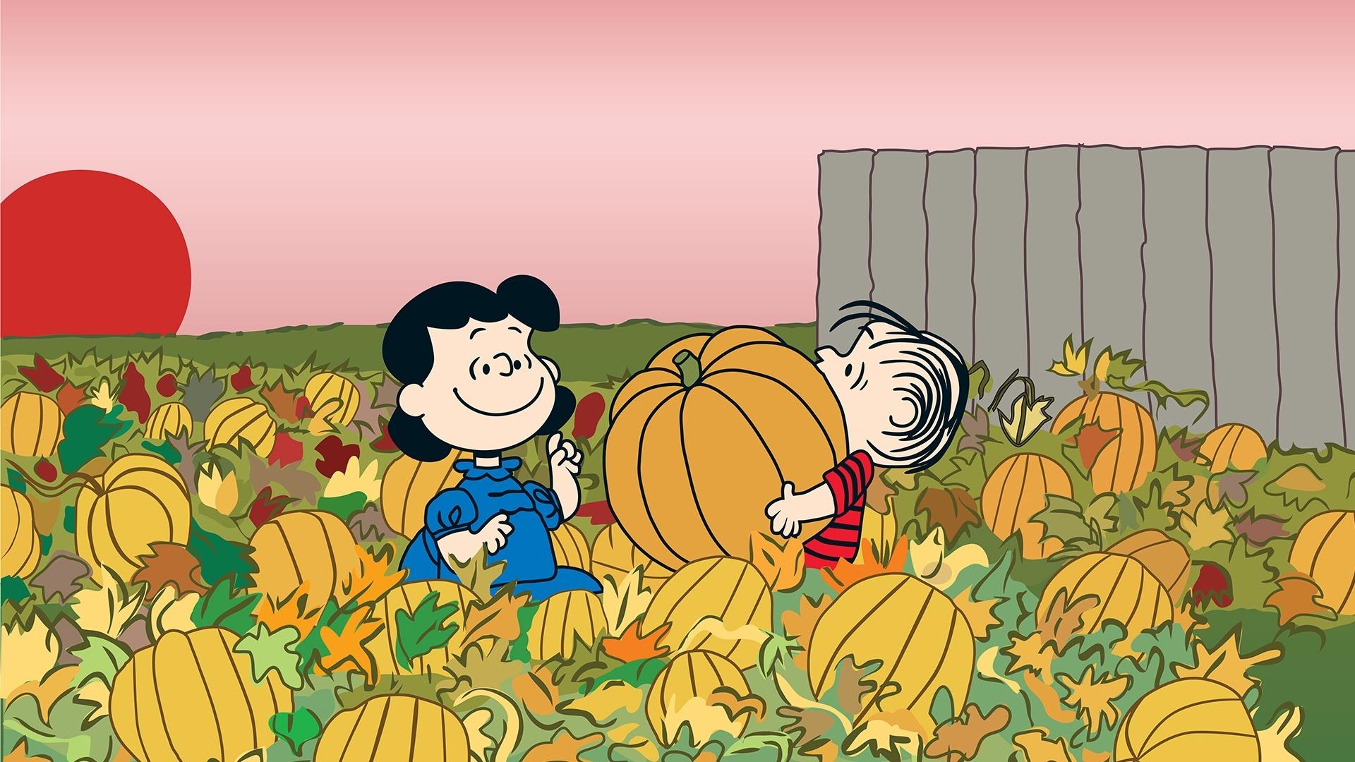 charlie brown pumpkin patch