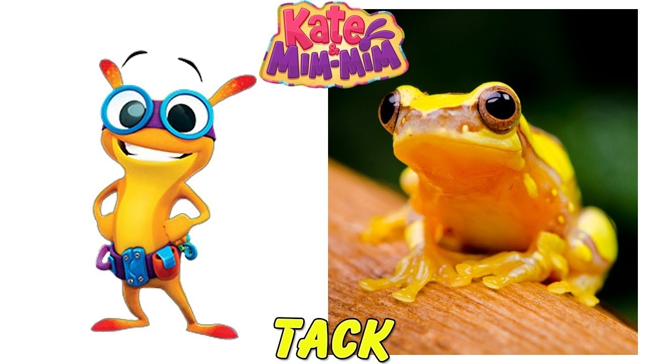 kate and mim mim characters