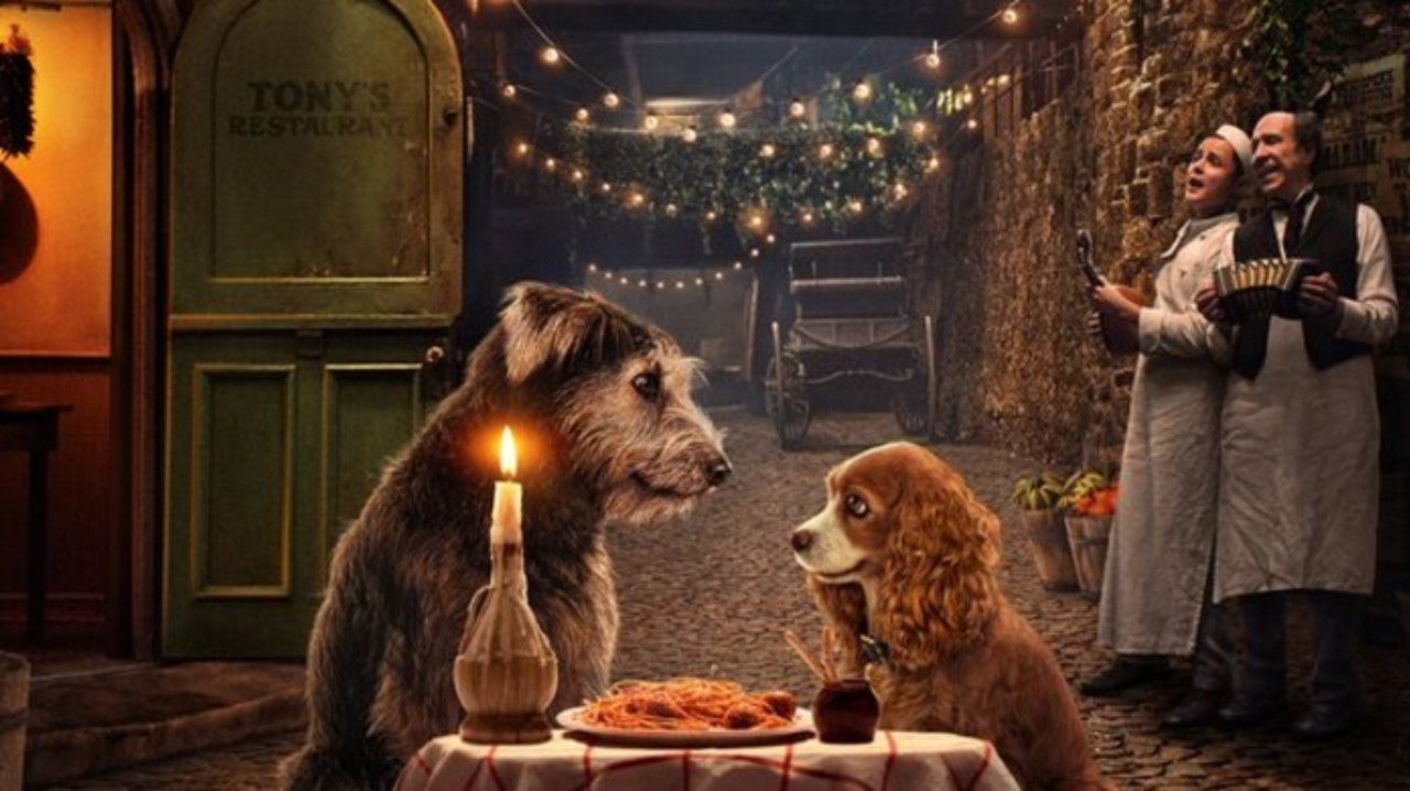 Lady And The Tramp 2019 Everything You Need To Know About The Disney Live Action Remake Newsweek