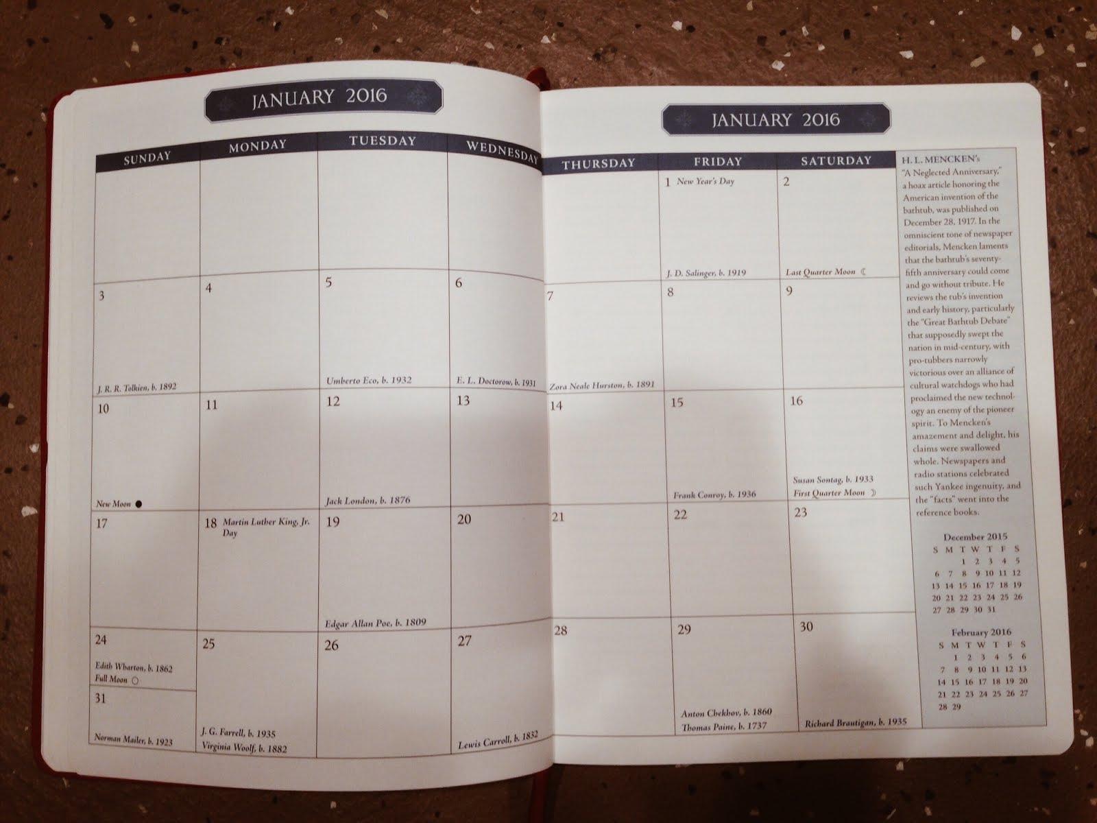 LizzVisions BARNES AND NOBLE 2016 DESK PLANNER OVERVIEW LIFESTYLE