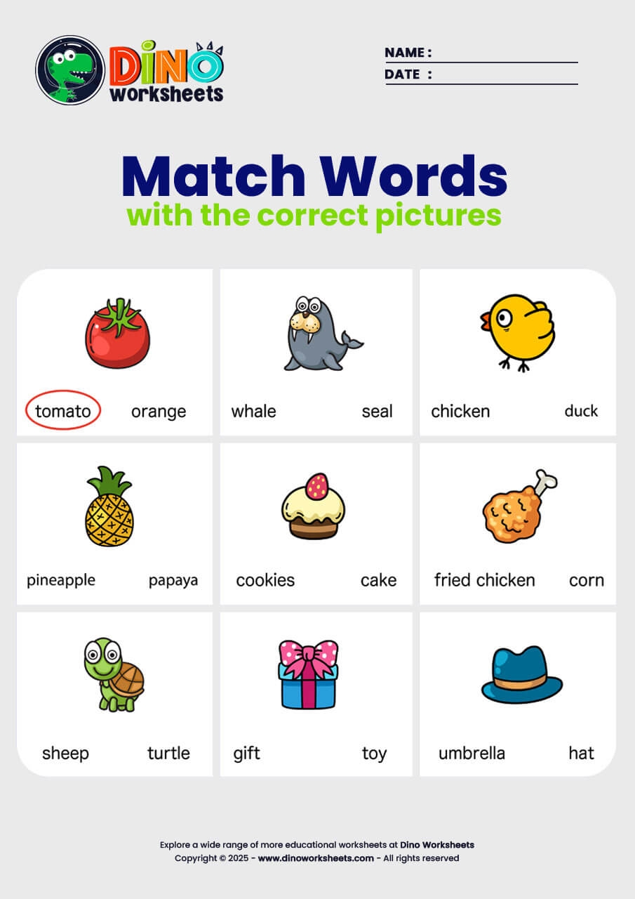 match word to picture