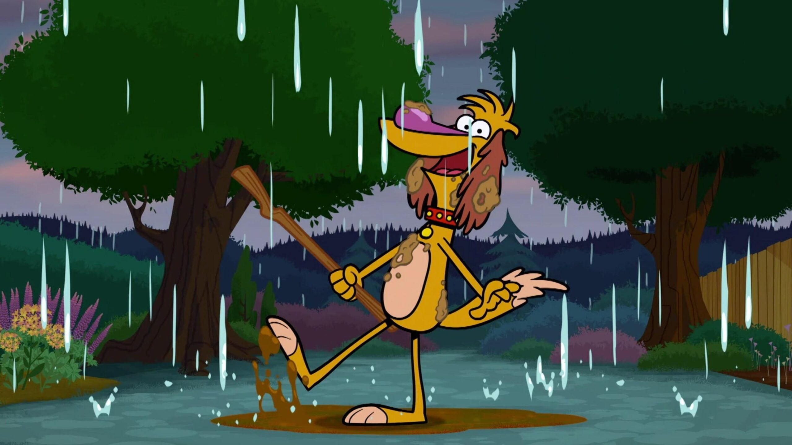 nature cat hal the dog