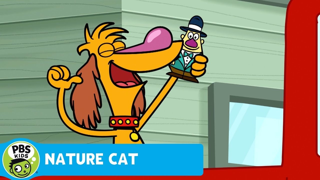 NATURE CAT Where s Hal Going PBS KIDS YouTube
