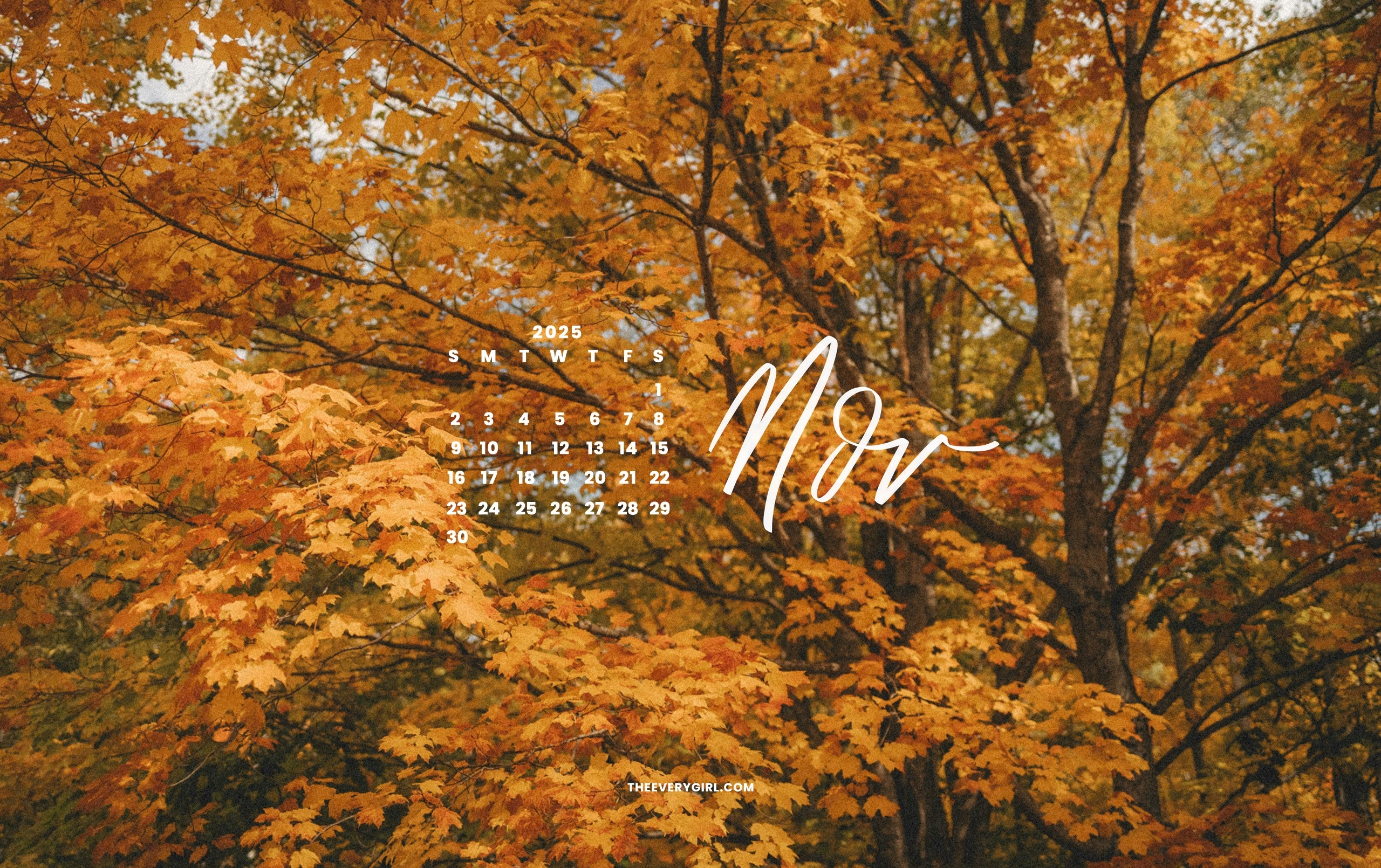 November Tech Backgrounds Stunning Fall Tech Wallpapers