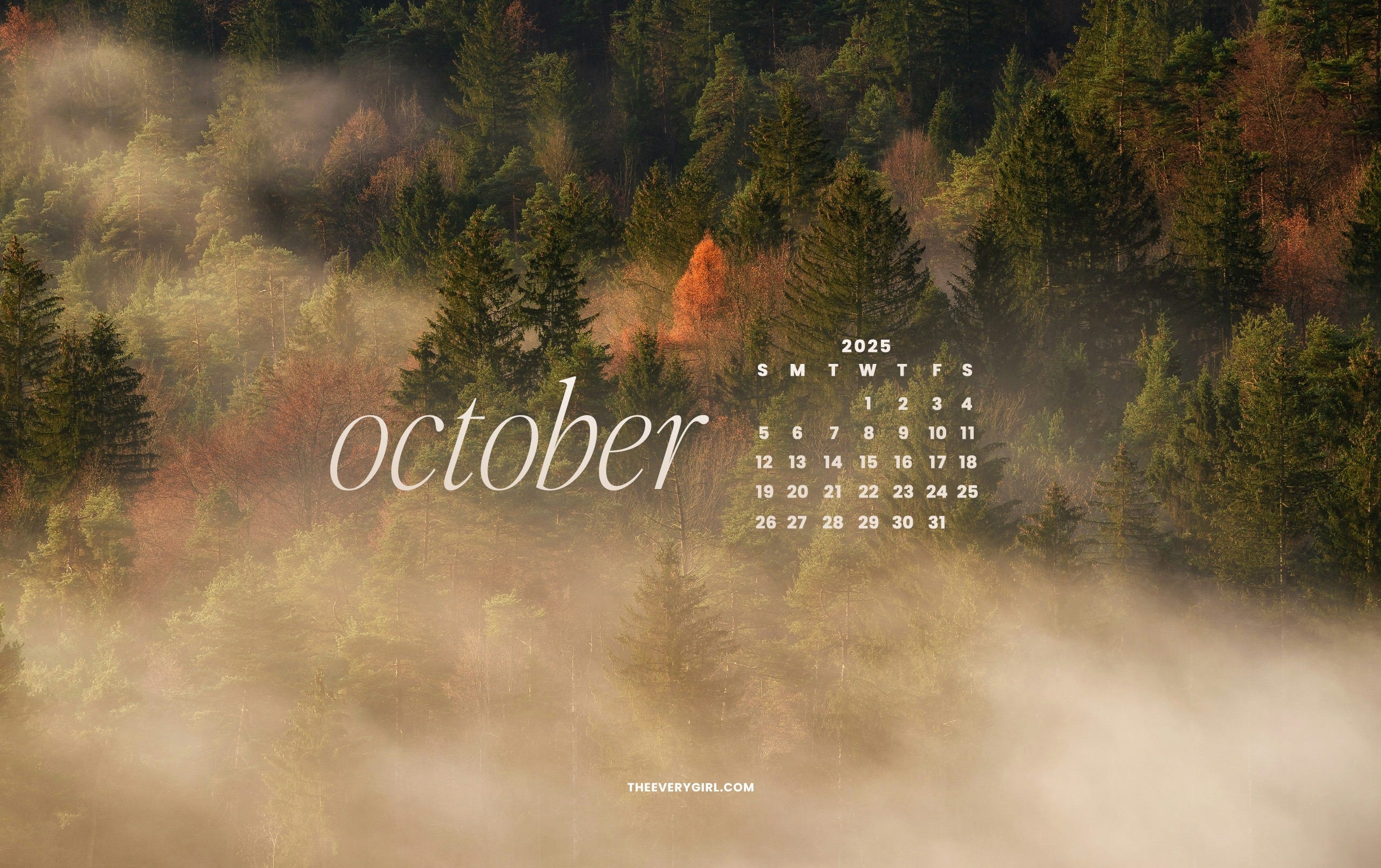 October 2025 Tech Backgrounds Free Downloadable Wallpapers 
