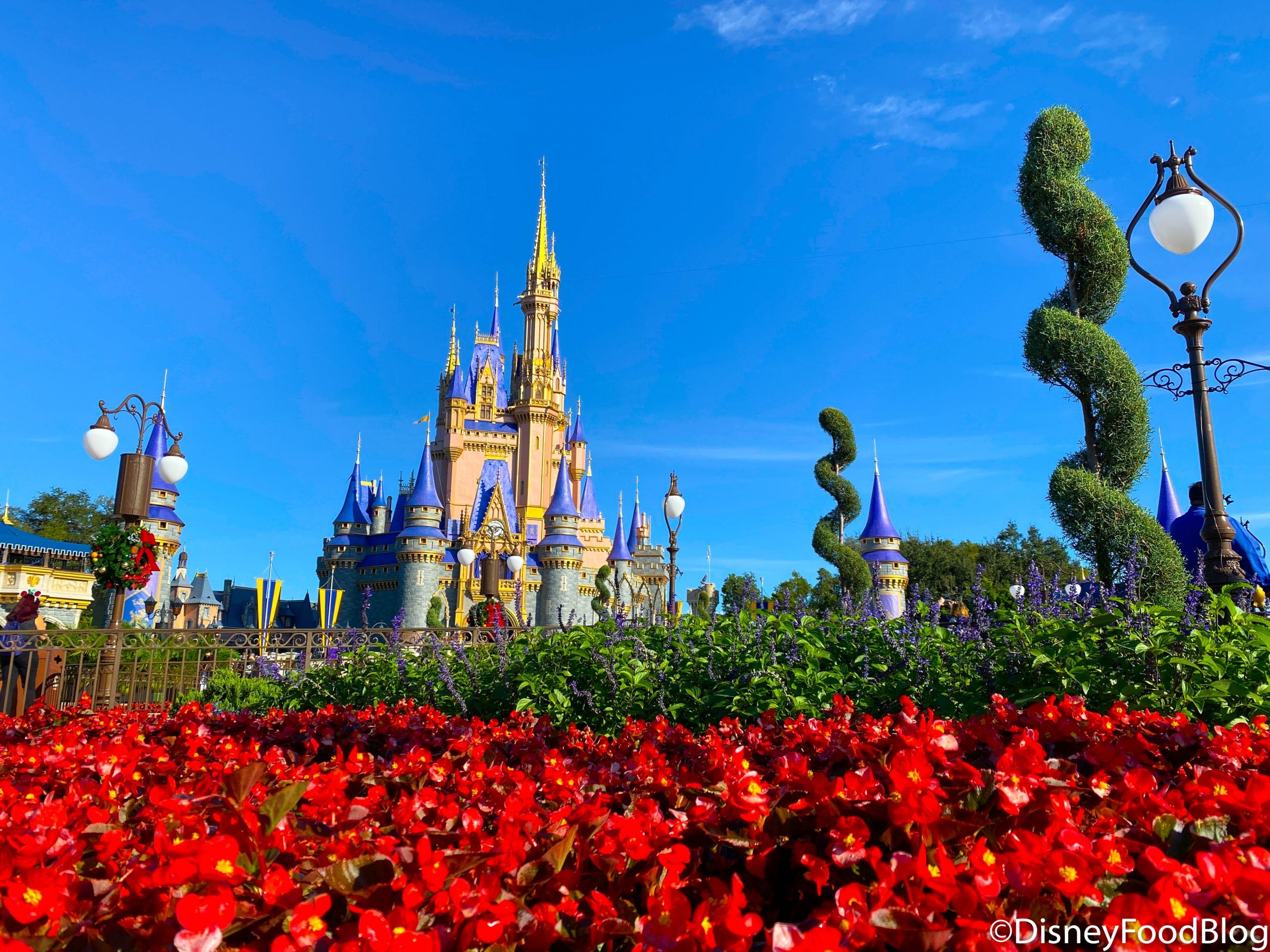Our FREE Gift To YOU 29 Disney World Wallpapers From DFB The Disney Food Blog