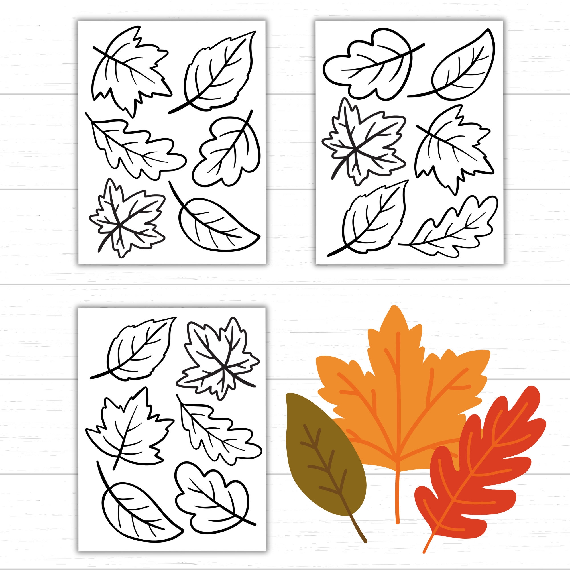 P ginas Para Colorear De Hojas De Oto o Hojas Para Imprimir Hojas Para Colorear De Hojas De Oto o Actividades De Oto o Para Ni os Plantillas De Hojas Hojas Para Imprimir De Oto o Para Ni os 