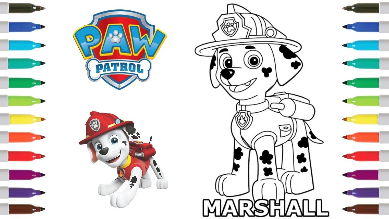 paw patrol colouring pages marshall