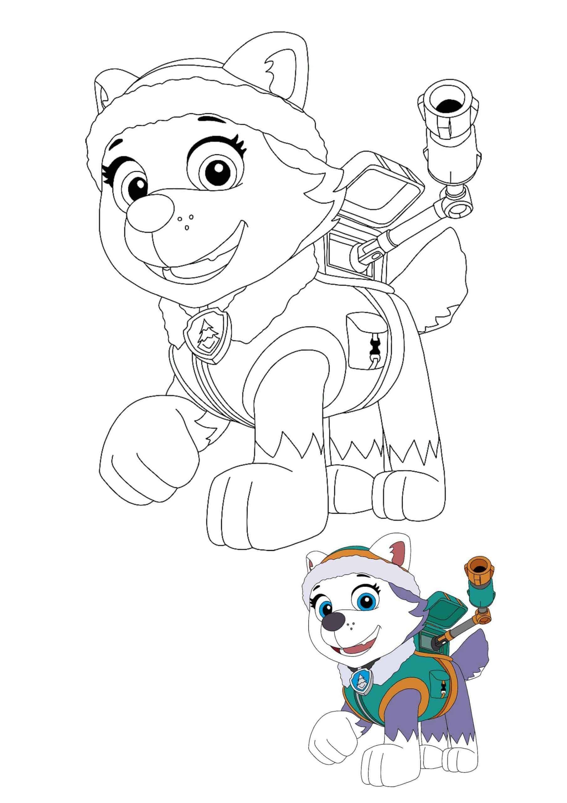 paw patrol colouring pages everest