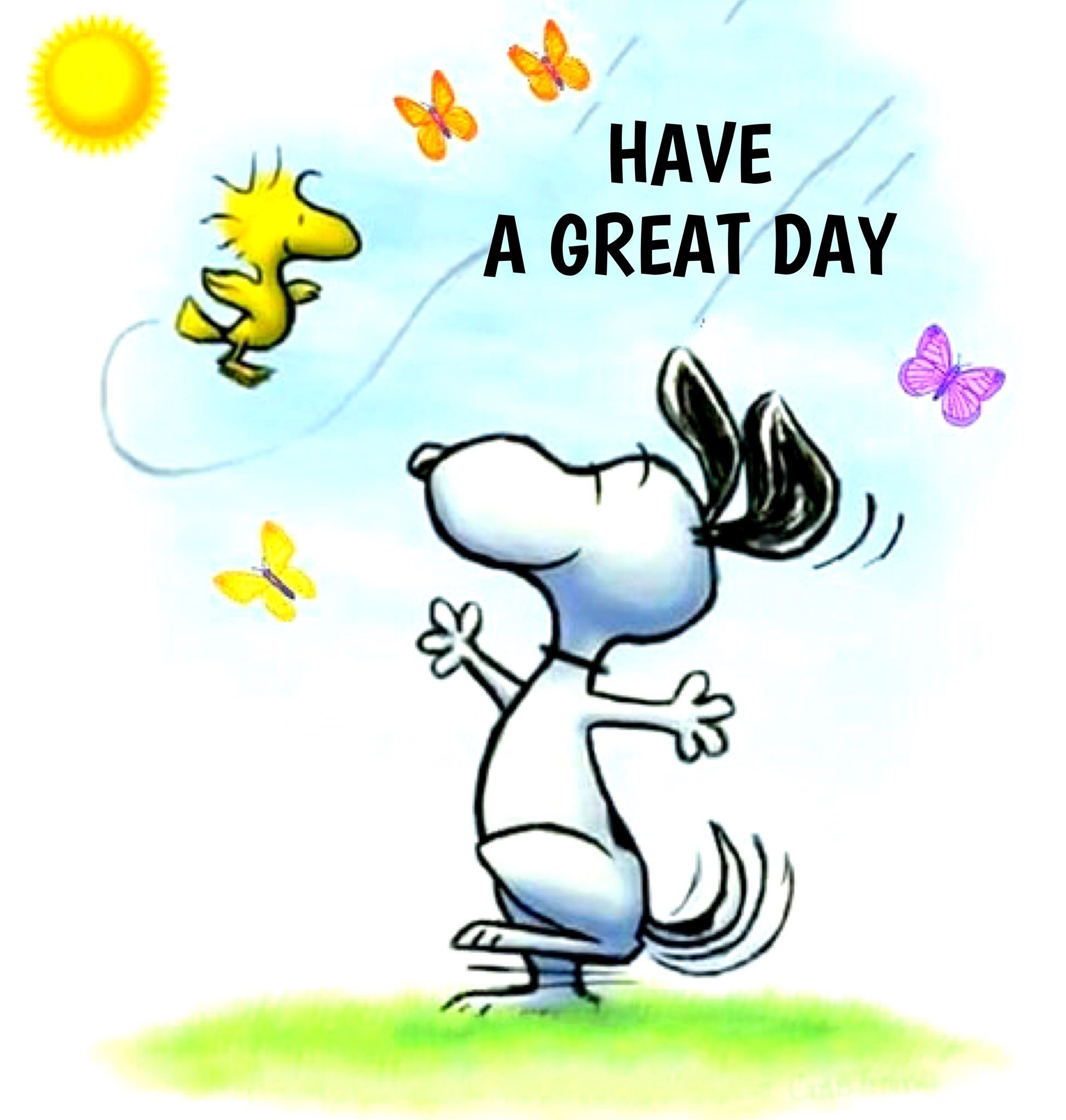 Pin By MaryAnn Nascone On Snoopy Snoopy Quotes Snoopy Images Snoopy Pictures