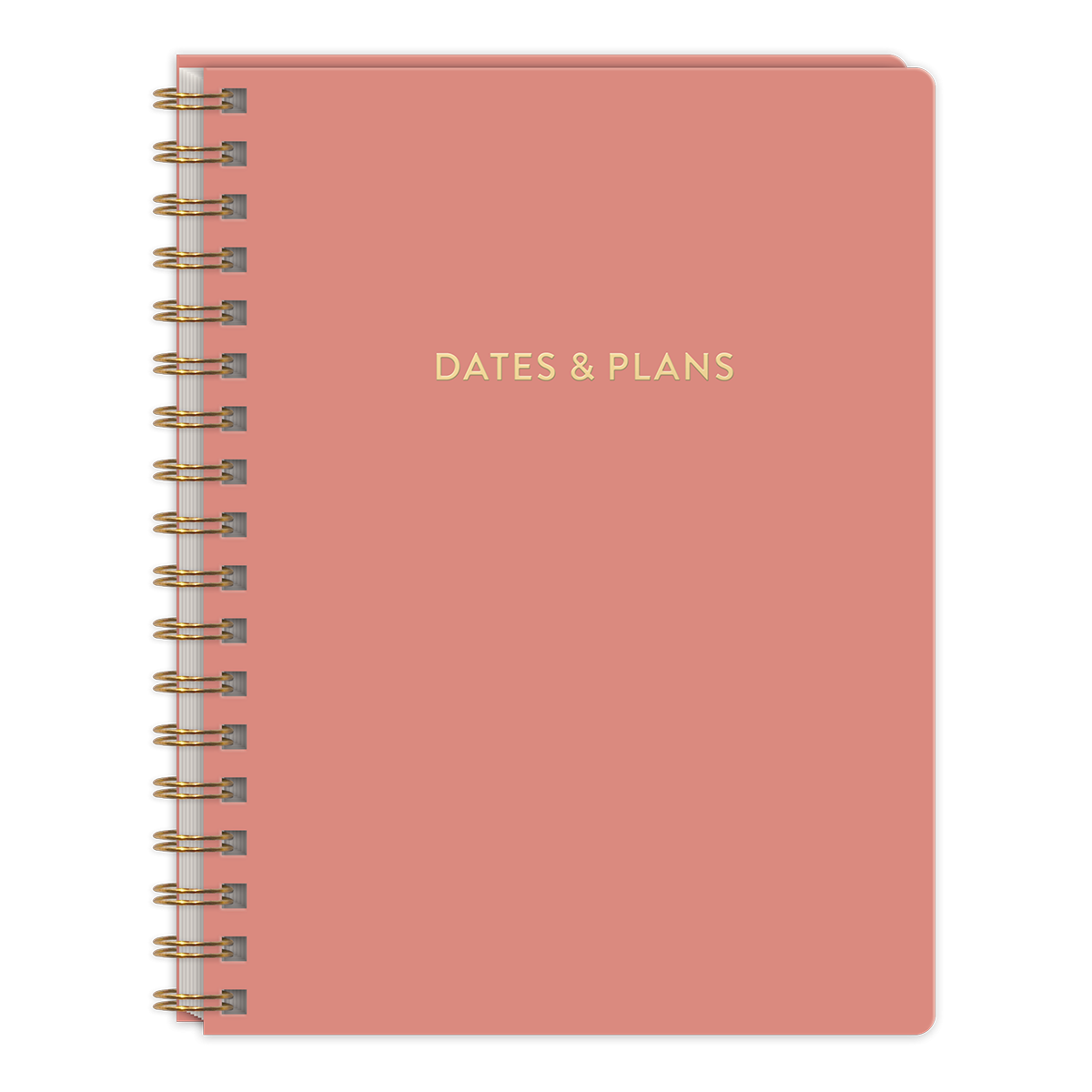 Playful Patterns Spiral Planner Undated Molly Rex