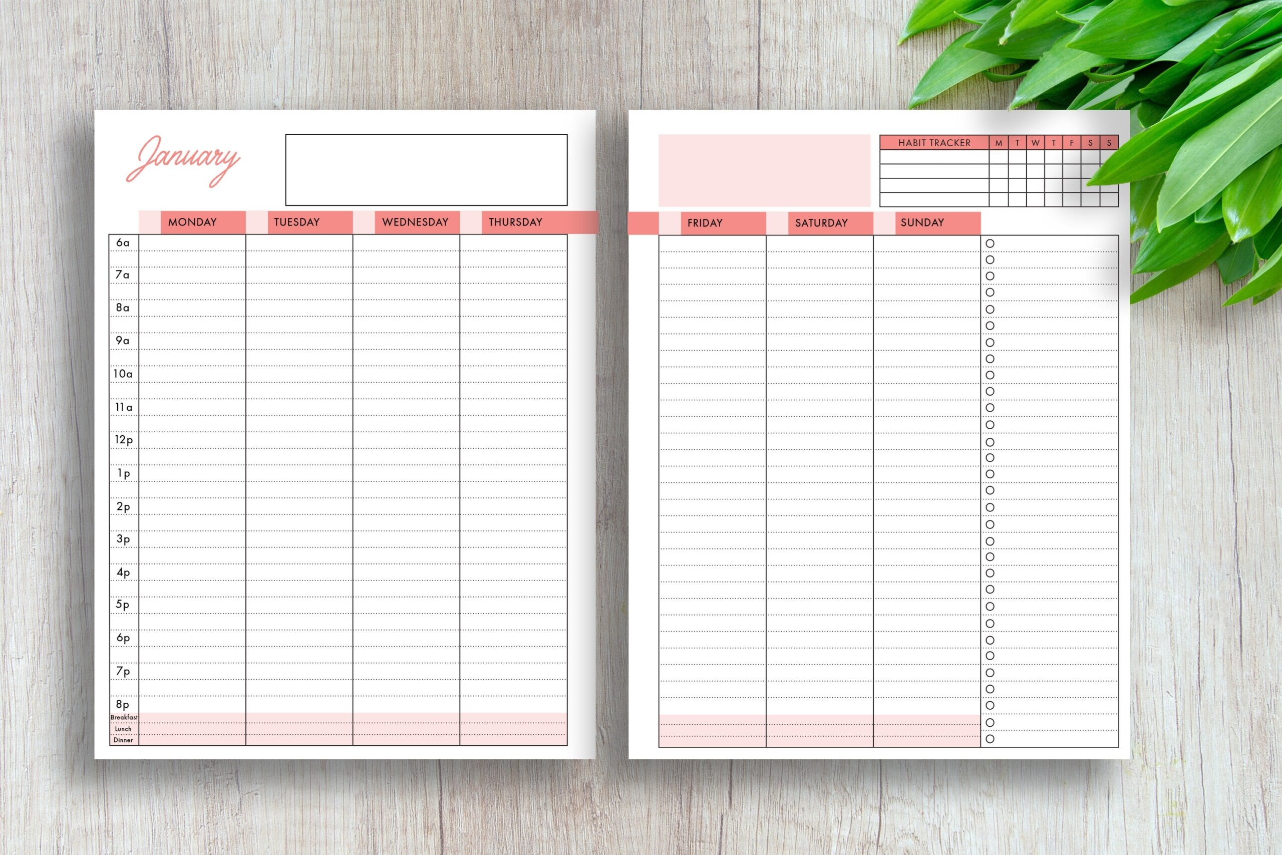 Printable Planner Insert Weekly Calendar Vertical Daily
