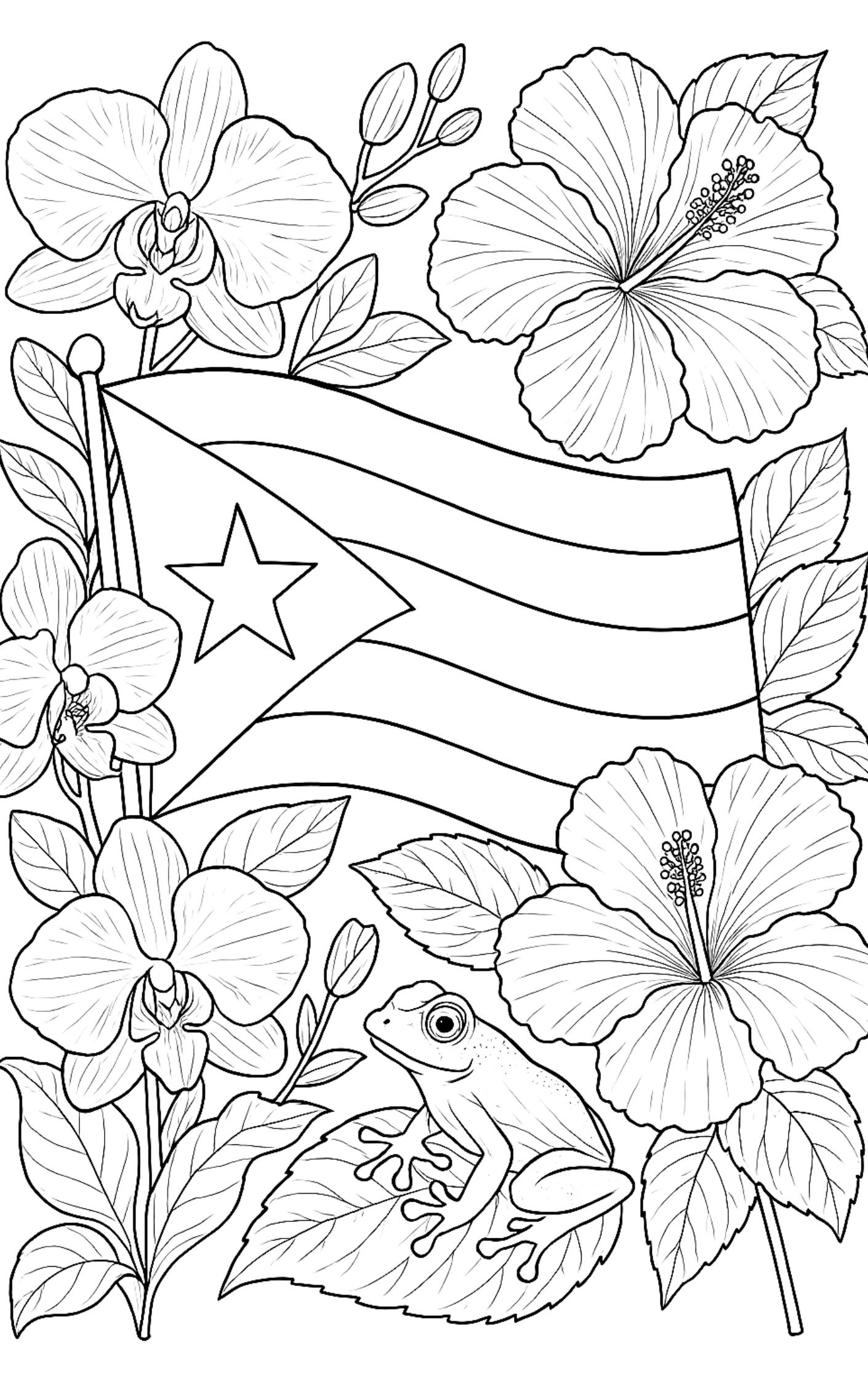 Puerto Rico Coloring Book Cultural Landmarks Nature Traditions PDF Download Etsy