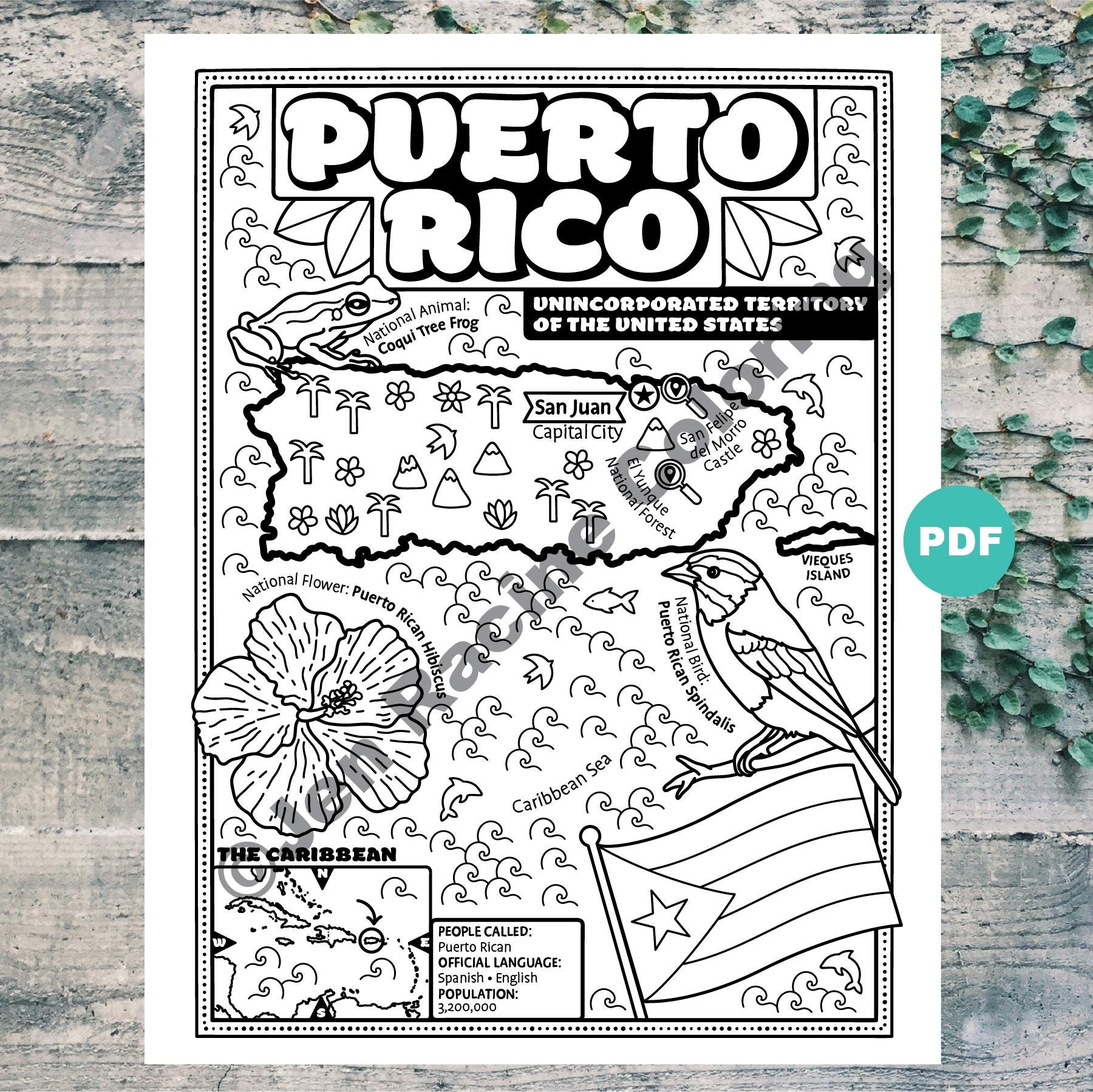 Puerto Rico Map Coloring Page Caribbean Geography digital Download Etsy