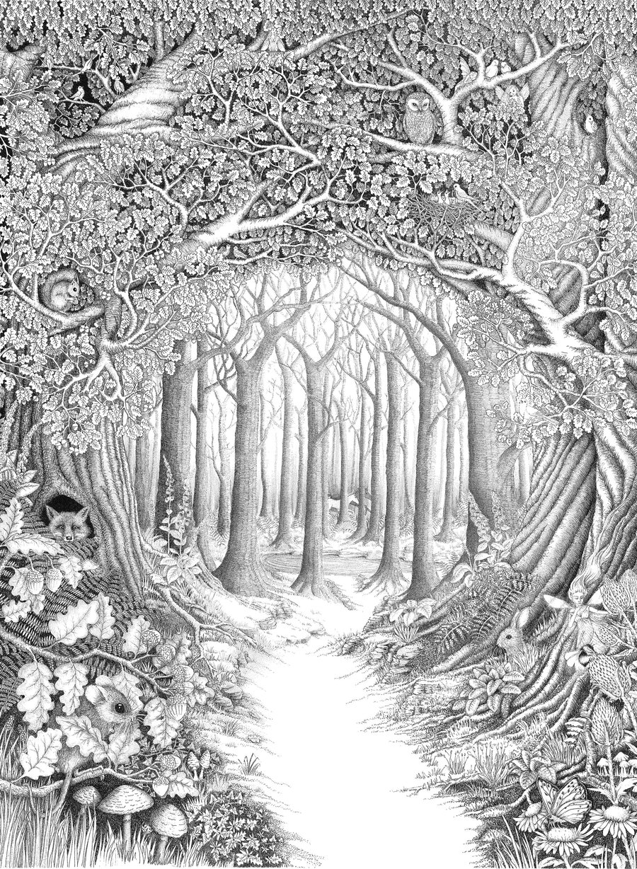 landscape coloring pages for adults