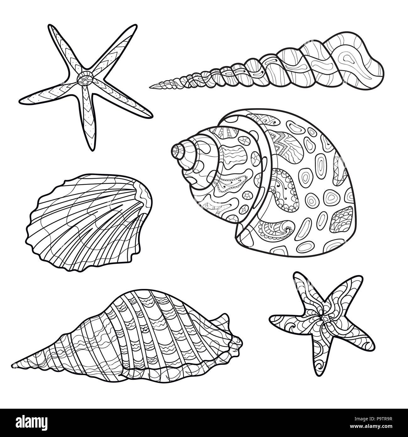 Seashells Shell Pattern Shell Set Coloring Book Page Vector Stock Vector Image Art Alamy