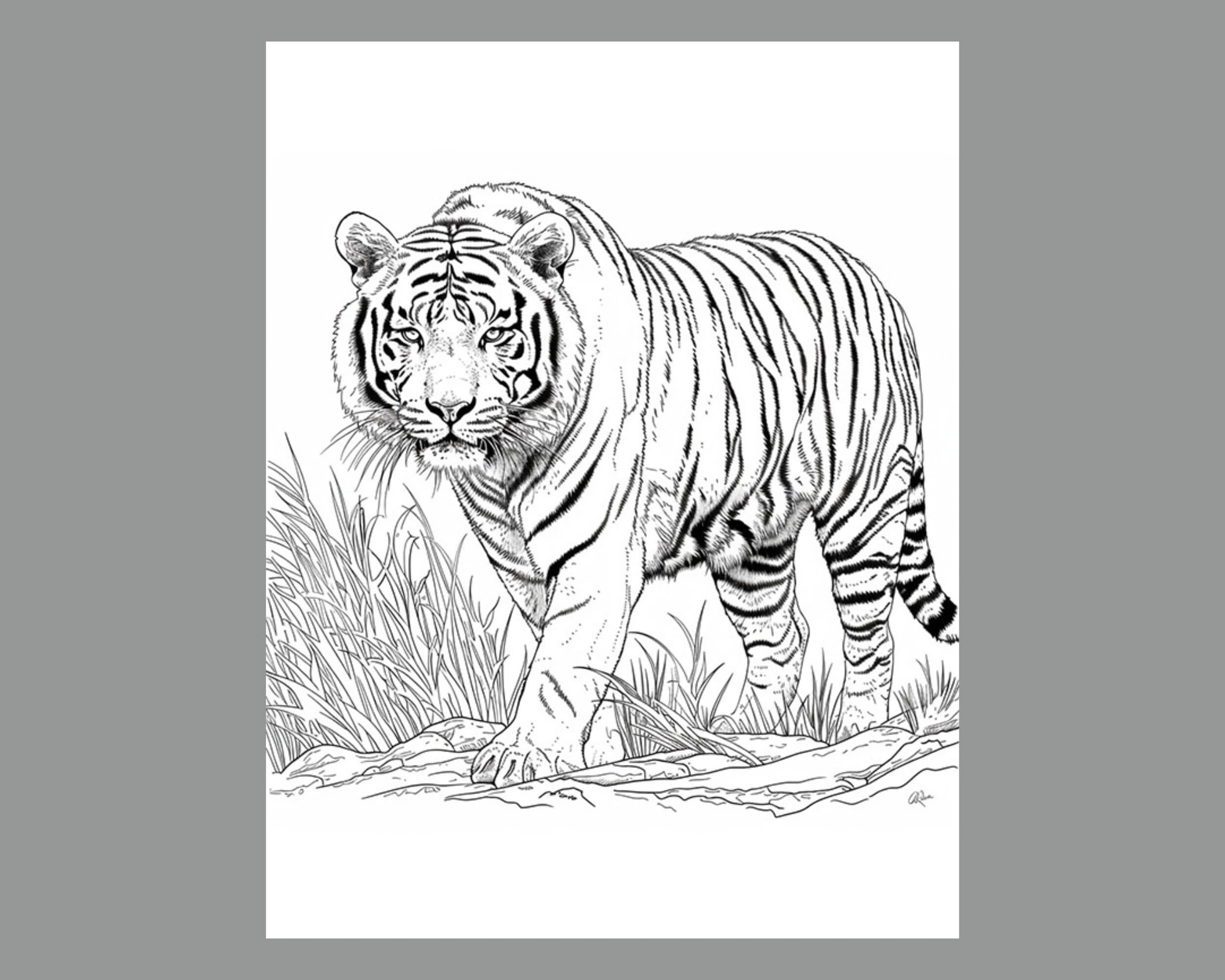 Siberian Tiger Coloring Pages Detailed Wildlife Art digital Download Etsy