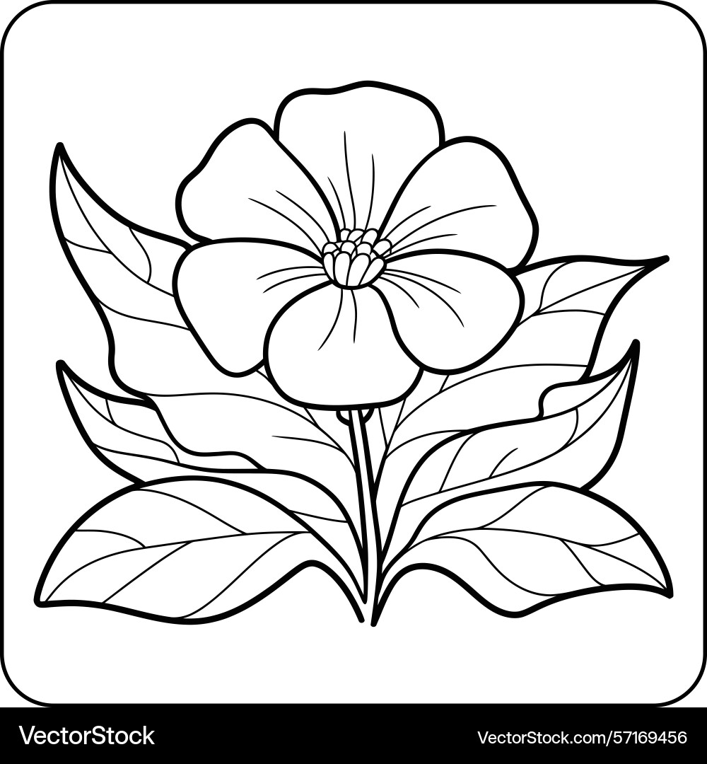 Simple Flower Bold Line Coloring Page Royalty Free Vector VectorStock