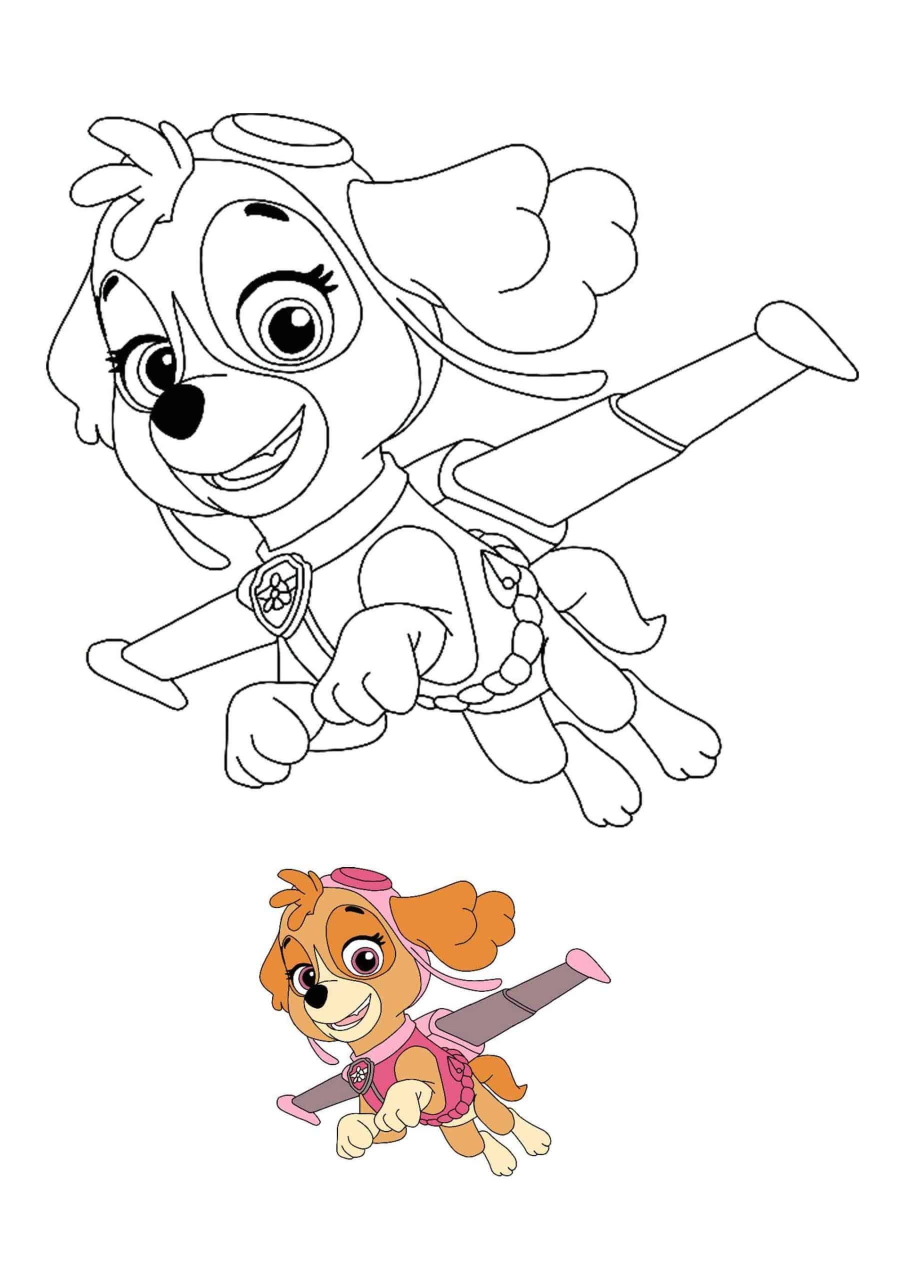 Sky Coloring Page Paw Patrol Coloring Page Sky Power Patrol Reviews For PAW Patrol Coloring