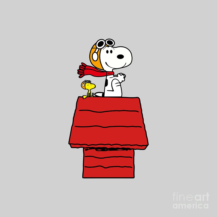 Snoopy Pilot Airplane Drawing By Elizabeth J Campbell Fine Art America