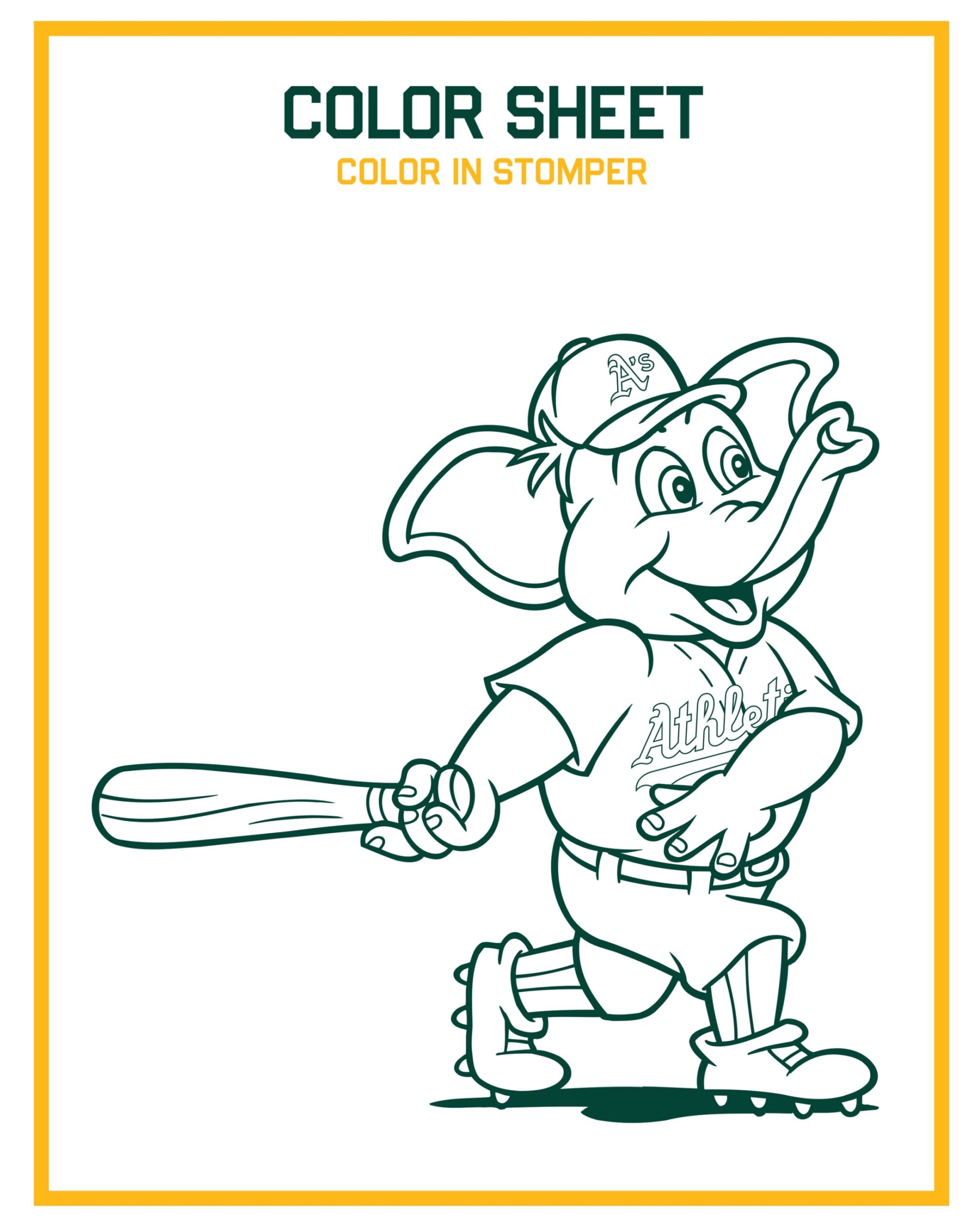 Stomper s Home Fun Athletics