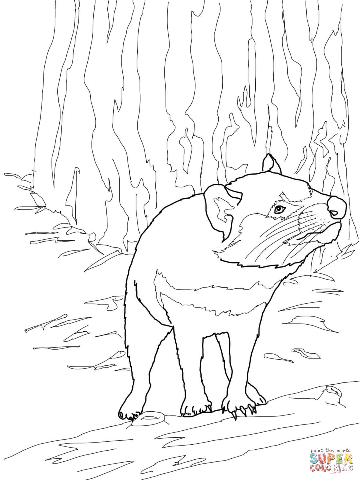 Tasmanian Devil 15 Free Printable Coloring Pages