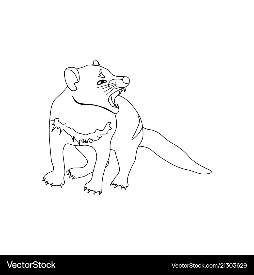 Tasmanian Devil Coloring Page Royalty Free Vector VectorStock