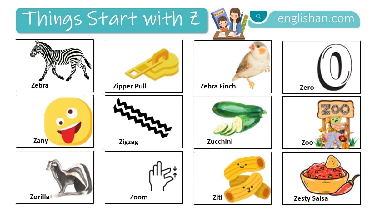 kindergarten words with z