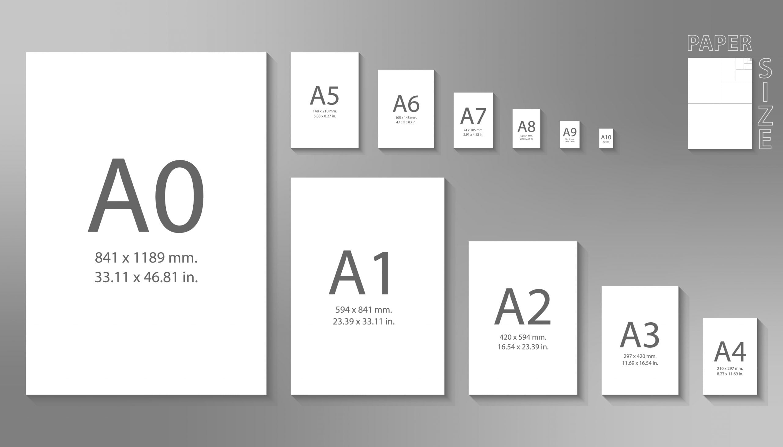 is a5 or a6 bigger