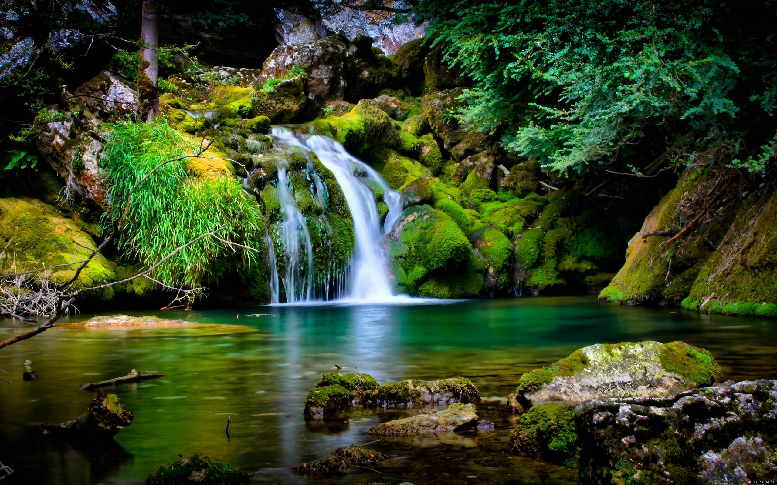 Wallpapers For Desktop Backgrounds Wallpaper Cave