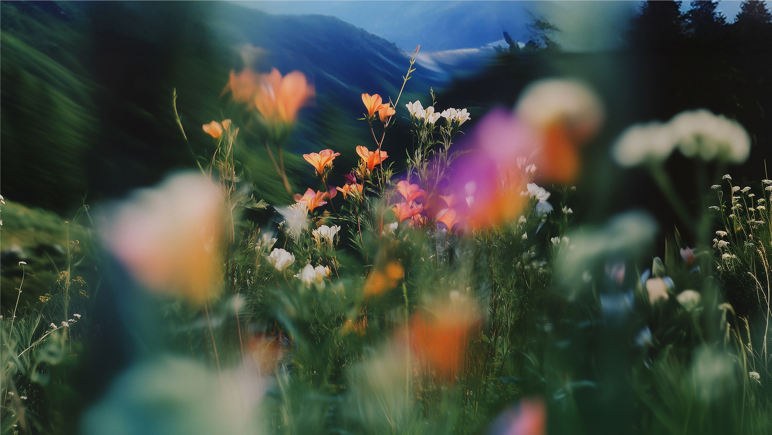 Wallpapers Microsoft Design