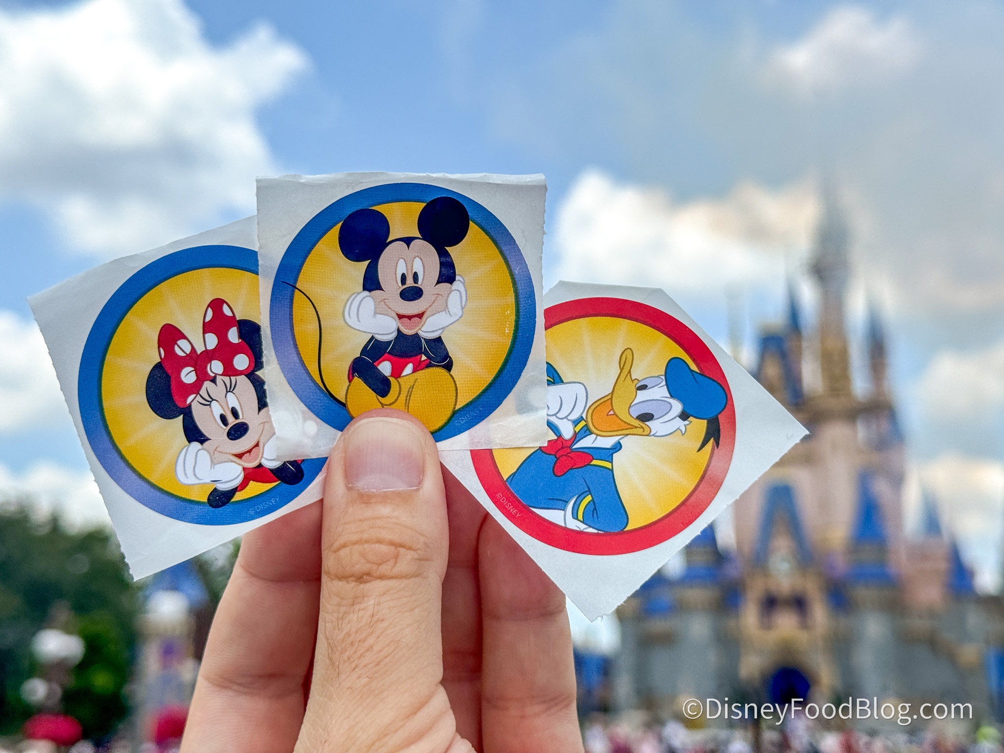 We Can t Get Over This New FREE Souvenir At Disney World The Disney Food Blog